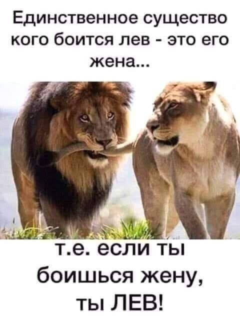 Нажмите на изображение для увеличения.

Название:	Лев и его жена.jpg
Просмотров:	658
Размер:	46.7 Кб
ID:	4403980