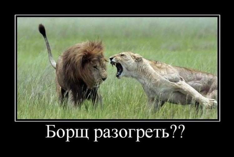 Нажмите на изображение для увеличения.

Название:	244276596_2865783020386399_1105616161348700838_n.jpg?_nc_cat=105&amp;_nc_rgb565=1&amp;ccb=1-5&amp;_nc_sid=8bfeb9&amp;_nc_ohc=IuI2XKz8j20AX_Dqh2o&amp;tn=FWUwkHsdRpznqiQ9&amp;_nc_ht=scontent.fdnk6-2.fna&amp;oh=c71e98fc2ea00da7ad8a01325daf6a2a&amp;oe=61858BA
Просмотров:	502
Размер:	55.5 Кб
ID:	4404069