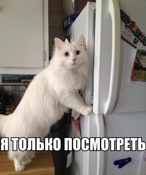 Нажмите на изображение для увеличения.  Название:	ТП26.jpg Просмотров:	0 Размер:	61.0 Кб ID:	4404203