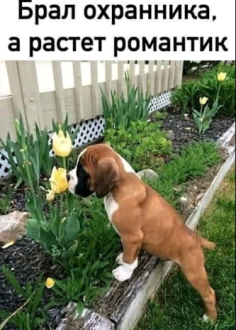 Нажмите на изображение для увеличения.

Название:	загружено (19).png
Просмотров:	1293
Размер:	318.6 Кб
ID:	4404674