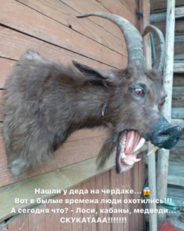 Нажмите на изображение для увеличения.

Название:	загружено (3).png
Просмотров:	1147
Размер:	261.9 Кб
ID:	4404807