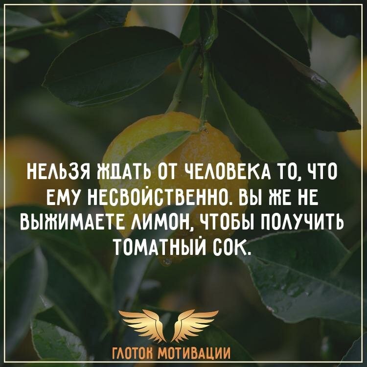 Нажмите на изображение для увеличения.

Название:	07f779b20ec311bd3328cbef0e035eb5.jpg
Просмотров:	631
Размер:	89.6 Кб
ID:	4404857
