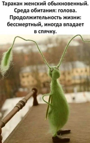 Нажмите на изображение для увеличения.

Название:	ebd99a53f7721d7a716cbf4d725579b0.jpg
Просмотров:	469
Размер:	36.4 Кб
ID:	4404961