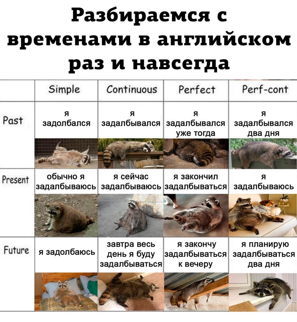 Нажмите на изображение для увеличения.

Название:	8dbdffffc986104e81b4abf7c5628476.jpg
Просмотров:	804
Размер:	237.8 Кб
ID:	4404971