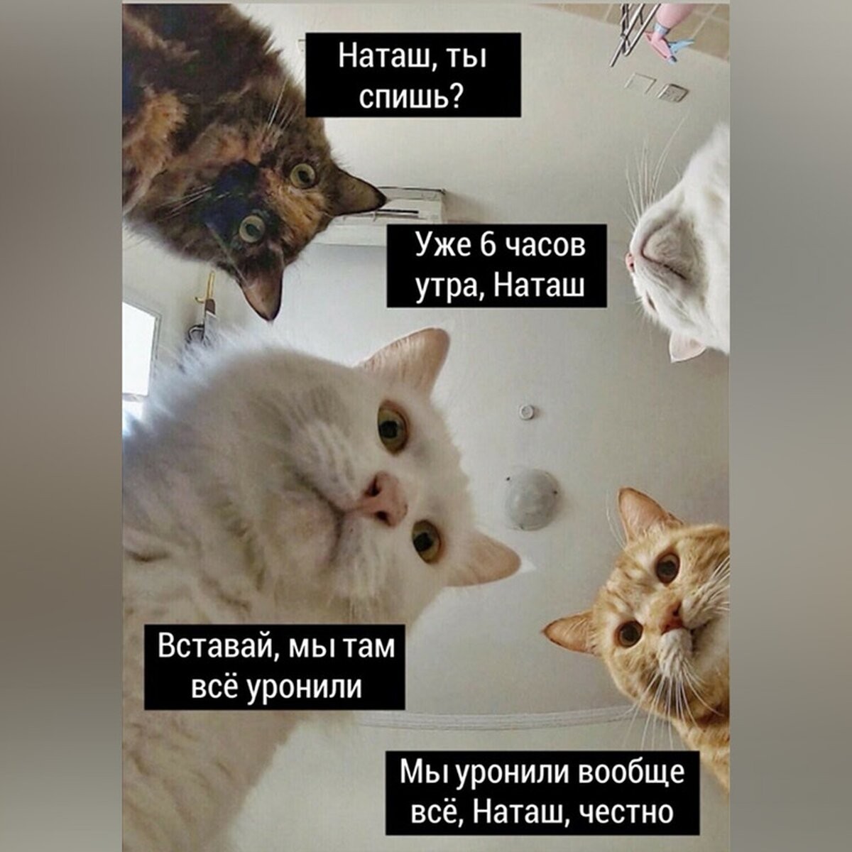Нажмите на изображение для увеличения.

Название:	Наташа.jpg
Просмотров:	2410
Размер:	167.7 Кб
ID:	4404977