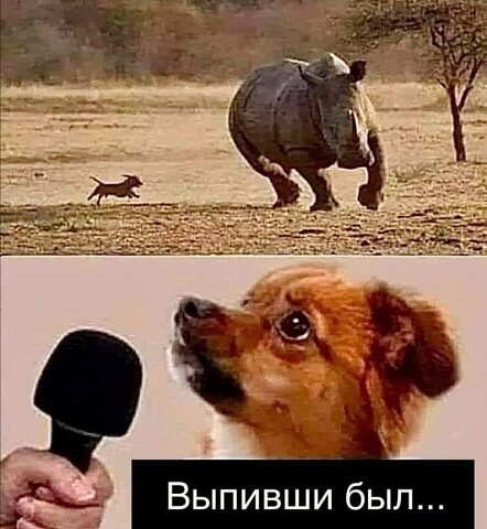 Нажмите на изображение для увеличения.

Название:	15920d8568e0be722e58ada8d9b59aa6.jpg
Просмотров:	850
Размер:	63.3 Кб
ID:	4405285