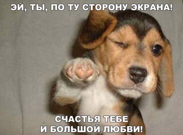 Нажмите на изображение для увеличения.

Название:	a640921fc1136eddc26c1609bc7fd330.jpg
Просмотров:	843
Размер:	57.5 Кб
ID:	4405289