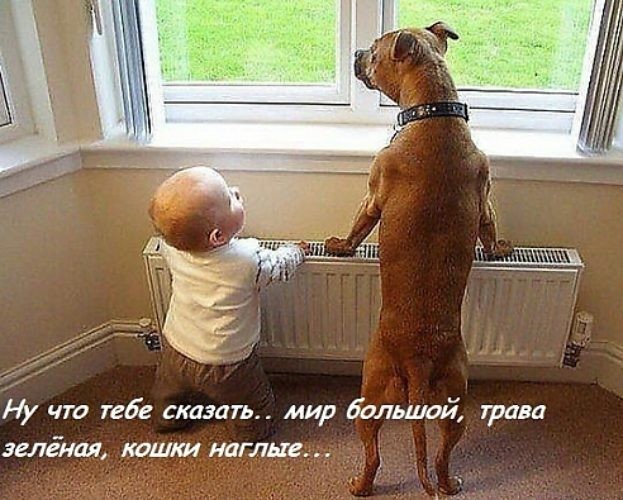 Нажмите на изображение для увеличения.

Название:	c659686f3b73c55a031e62f82a791d7d.jpg
Просмотров:	601
Размер:	94.4 Кб
ID:	4405479
