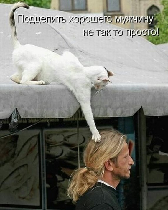 Нажмите на изображение для увеличения.

Название:	ccdd36de4e828b04ad900572cc32de53.jpg
Просмотров:	588
Размер:	78.9 Кб
ID:	4405500