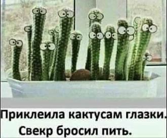 Нажмите на изображение для увеличения.

Название:	2021-10-24-mixnews-img-0822.jpg
Просмотров:	1865
Размер:	99.0 Кб
ID:	4406458