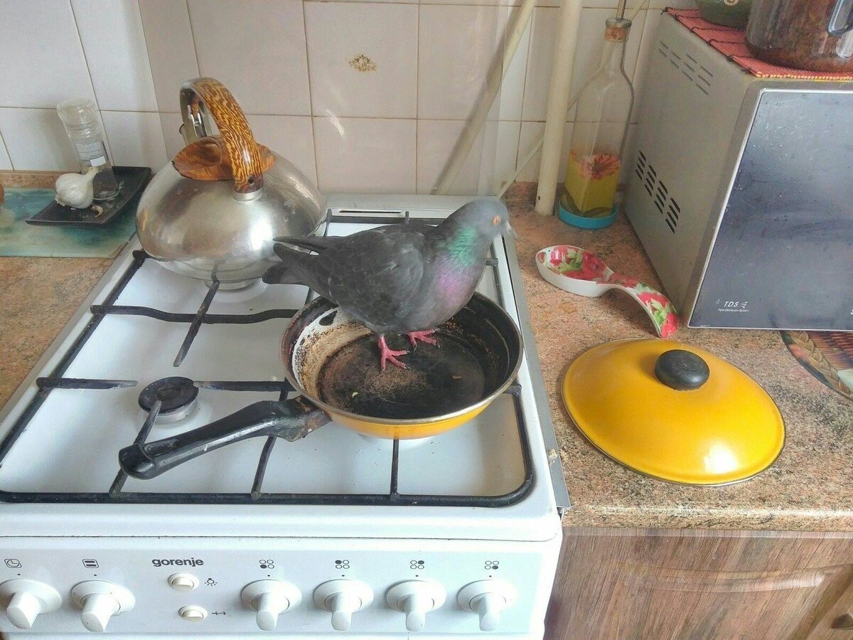 Нажмите на изображение для увеличения.

Название:	c59525776f9bba6fcecfcaace4232315.jpg
Просмотров:	1040
Размер:	263.6 Кб
ID:	4406531