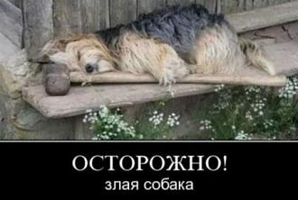 Нажмите на изображение для увеличения.

Название:	9-3-e1531584962686.jpg
Просмотров:	879
Размер:	31.0 Кб
ID:	4406553