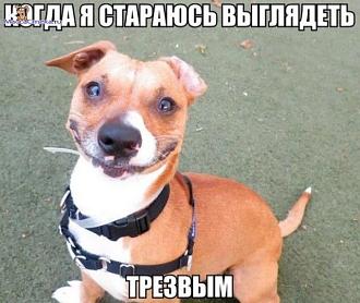 Нажмите на изображение для увеличения.

Название:	4-18.jpg
Просмотров:	804
Размер:	84.0 Кб
ID:	4406554