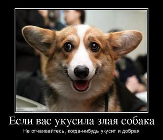 Нажмите на изображение для увеличения.

Название:	6d1fca8d320716b71a966b516dbc6278.jpg
Просмотров:	810
Размер:	47.2 Кб
ID:	4406555