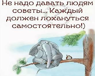 Нажмите на изображение для увеличения.

Название:	IMG_20211026_113932_880.jpg
Просмотров:	1384
Размер:	67.5 Кб
ID:	4406891