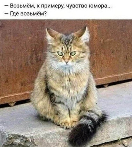 Нажмите на изображение для увеличения.

Название:	65c8be4d4e876e1bed5925f8f946924c.jpg
Просмотров:	700
Размер:	72.0 Кб
ID:	4407075