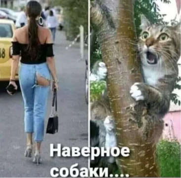 Нажмите на изображение для увеличения.

Название:	617f00837704b_(22).thumb.png.c3af12d8d607196d9c51cee1a5bbdfa0.png
Просмотров:	1978
Размер:	233.2 Кб
ID:	4407398