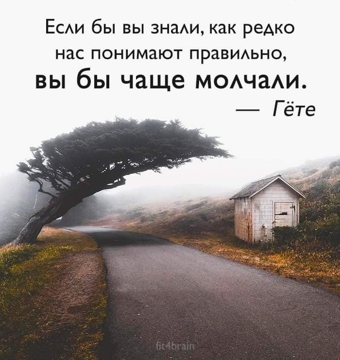 Нажмите на изображение для увеличения.

Название:	FB_IMG_1636564967882.jpg
Просмотров:	716
Размер:	98.4 Кб
ID:	4408225