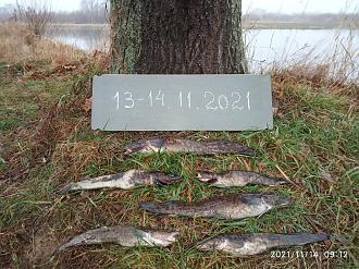 Нажмите на изображение для увеличения.  Название:	IMG_20211114_091235.jpg Просмотров:	0 Размер:	648.9 Кб ID:	4409222