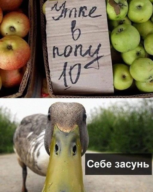 Нажмите на изображение для увеличения.

Название:	263802977_4704731749592892_31863533506441585_n.jpeg
Просмотров:	1514
Размер:	79.4 Кб
ID:	4410773