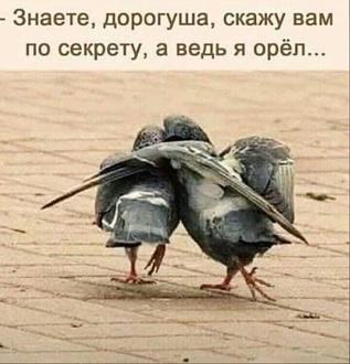 Нажмите на изображение для увеличения.

Название:	IMG_20211122_163511_320.jpg
Просмотров:	2643
Размер:	76.7 Кб
ID:	4411084