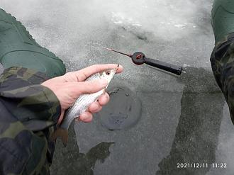 Нажмите на изображение для увеличения.

Название:	IMG_20211211_112225.jpg
Просмотров:	15707
Размер:	460.3 Кб
ID:	4411167