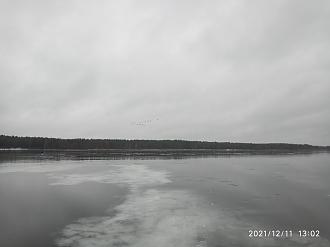 Нажмите на изображение для увеличения.

Название:	IMG_20211211_130247.jpg
Просмотров:	15591
Размер:	282.6 Кб
ID:	4411172