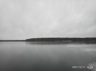 Нажмите на изображение для увеличения.

Название:	IMG_20211211_130258.jpg
Просмотров:	15564
Размер:	275.9 Кб
ID:	4411173