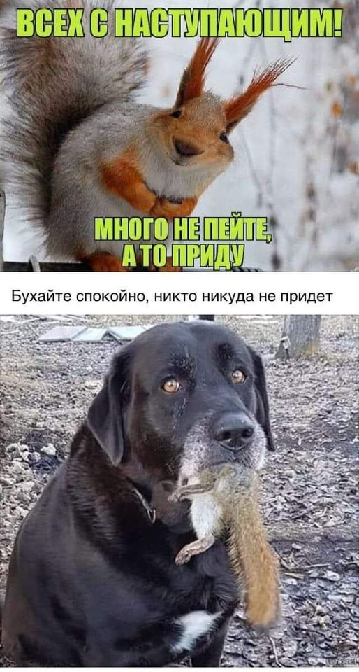 Нажмите на изображение для увеличения.

Название:	269757071_10226127061835239_7401224931399915204_n.jpeg
Просмотров:	1074
Размер:	143.0 Кб
ID:	4412196