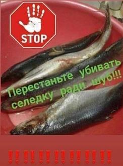 Нажмите на изображение для увеличения.

Название:	269809266_651675729298029_2759564814363354322_n.jpeg
Просмотров:	1661
Размер:	41.1 Кб
ID:	4412240