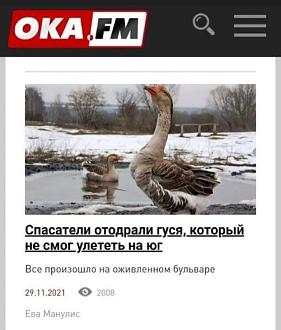 Нажмите на изображение для увеличения.

Название:	1.jpg
Просмотров:	1681
Размер:	70.4 Кб
ID:	4412242