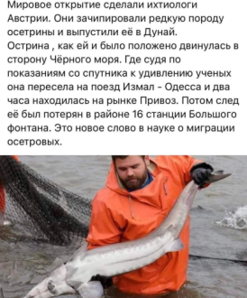 Нажмите на изображение для увеличения.

Название:	Без названия.png
Просмотров:	1256
Размер:	291.2 Кб
ID:	4412567