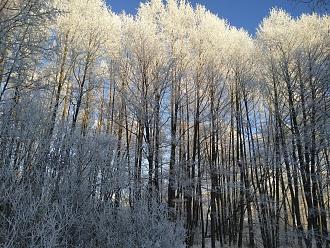 Нажмите на изображение для увеличения.

Название:	IMG_20211229_111849.jpg
Просмотров:	9937
Размер:	680.5 Кб
ID:	4412728