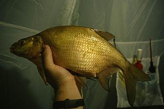 Нажмите на изображение для увеличения.

Название:	IMG_4769.jpg
Просмотров:	8124
Размер:	557.4 Кб
ID:	4413766