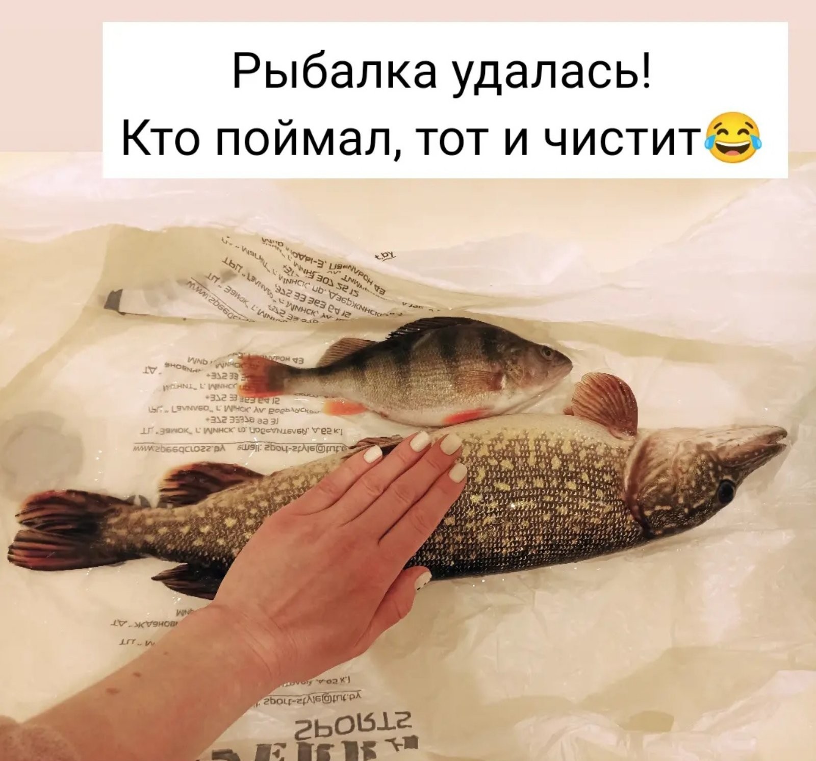 Нажмите на изображение для увеличения.

Название:	IMG-d737186757e0d94ef59c89bbee6a7bc4-V.jpg
Просмотров:	21487
Размер:	283.8 Кб
ID:	4413853