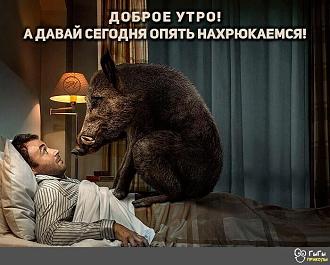 Нажмите на изображение для увеличения.

Название:	i.jpeg
Просмотров:	1094
Размер:	96.3 Кб
ID:	4423821