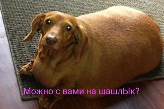 Нажмите на изображение для увеличения.

Название:	IMG_20220513_214132.jpg
Просмотров:	866
Размер:	194.3 Кб
ID:	4430940