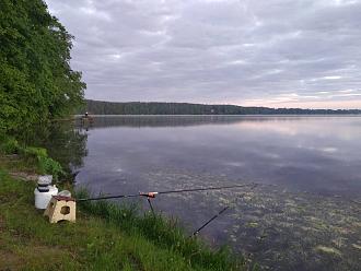 Нажмите на изображение для увеличения.  Название:	IMG_20220604_044617.jpg Просмотров:	0 Размер:	377.7 Кб ID:	4432361