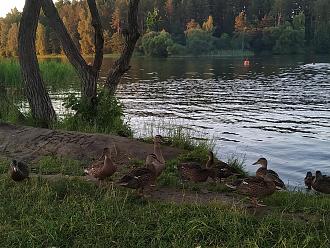 Нажмите на изображение для увеличения.

Название:	IMG_20220623_212847.jpg
Просмотров:	8382
Размер:	713.9 Кб
ID:	4433252