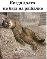 Нажмите на изображение для увеличения.  Название:	289606305_756099118755164_8272617487719967751_n.jpg Просмотров:	0 Размер:	35.8 Кб ID:	4433322