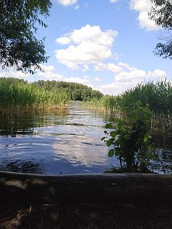 Нажмите на изображение для увеличения.  Название:	IMG_20220702_153606.jpg Просмотров:	10 Размер:	527.7 Кб ID:	4433743