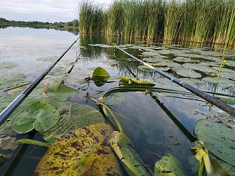 Нажмите на изображение для увеличения.

Название:	IMG_20220707_202300.jpg
Просмотров:	9989
Размер:	618.1 Кб
ID:	4434046