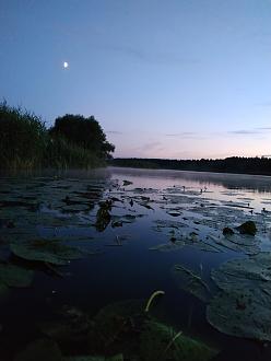 Нажмите на изображение для увеличения.

Название:	IMG_20220707_222119.jpg
Просмотров:	9545
Размер:	214.6 Кб
ID:	4434049