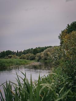 Нажмите на изображение для увеличения.

Название:	DSC_8163.jpg
Просмотров:	5443
Размер:	368.2 Кб
ID:	4434465