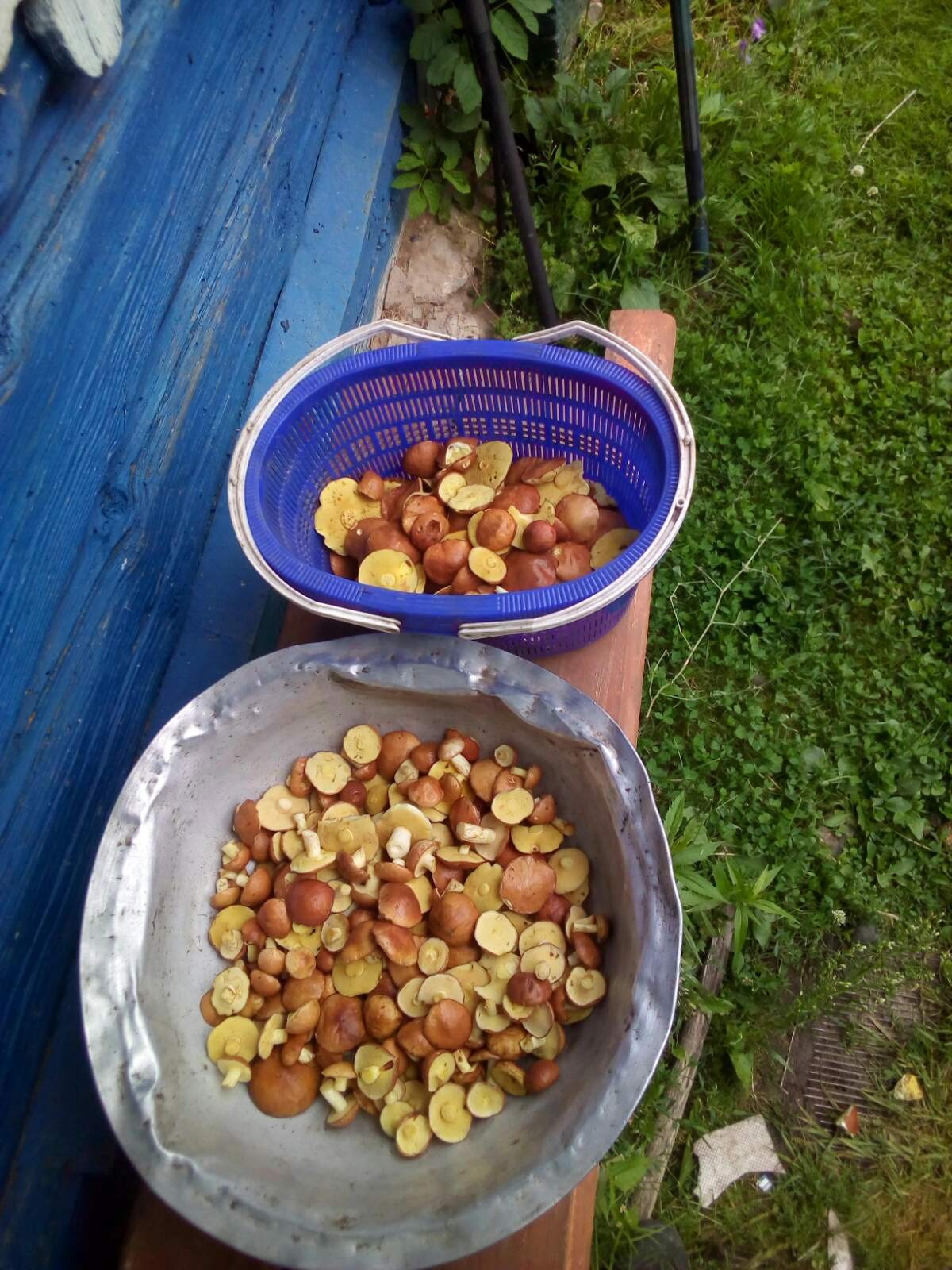 Нажмите на изображение для увеличения.

Название:	IMG-33a8845ebf60ff62abd5699a9a399999-V.jpg
Просмотров:	1476
Размер:	401.1 Кб
ID:	4434965