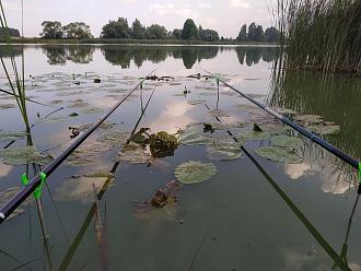 Нажмите на изображение для увеличения.

Название:	IMG_20220806_084506.jpg
Просмотров:	30877
Размер:	533.1 Кб
ID:	4435675