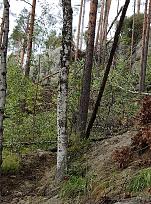 Нажмите на изображение для увеличения.

Название:	IMG_20220903_143222.jpg
Просмотров:	2884
Размер:	548.5 Кб
ID:	4437799