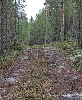 Нажмите на изображение для увеличения.

Название:	IMG_20220906_075059.jpg
Просмотров:	2858
Размер:	606.8 Кб
ID:	4437822