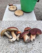 Нажмите на изображение для увеличения.

Название:	IMG_20220906_100938.jpg
Просмотров:	2877
Размер:	481.5 Кб
ID:	4437823