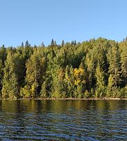 Нажмите на изображение для увеличения.

Название:	IMG_20220914_075752.jpg
Просмотров:	2847
Размер:	516.3 Кб
ID:	4437863